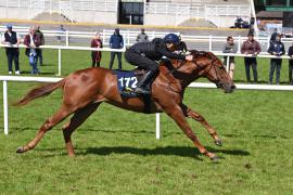 Lot 172 Phoenix Of Spain