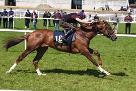 Lot 182 Galileo Gold