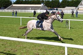 Lot 183 Frosted