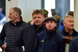 Tattersalls NNH 24 -John Bleahen & Jamie Codd