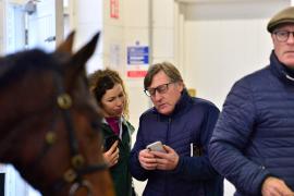 Tattersalls Sapphire Sale 24 