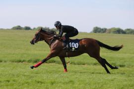 Lot  100 TIG0333Tattersalls