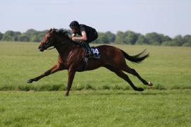 Lot  104 TIG0218Tattersalls