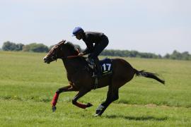 Lot  117 TIG1578Tattersalls