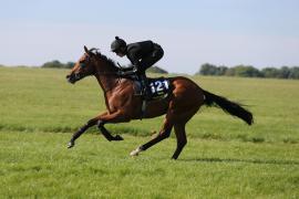 Lot  121 TIG0162Tattersalls