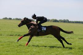 Lot  128 TIG1319Tattersalls