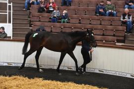 Lot 140 Yeats 30524 1