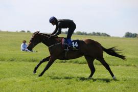 Lot  144 TIG1594Tattersalls