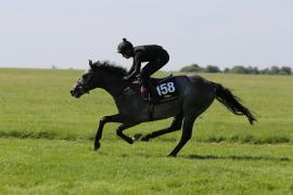 Lot  158 TIG1089Tattersalls