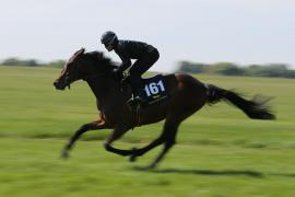 Lot  161 TIG1463Tattersalls