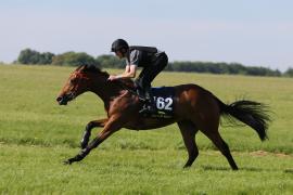 Lot  162 TIG0121Tattersalls