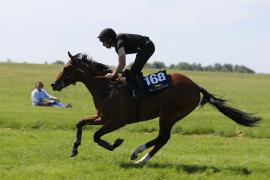 Lot  168 TIG1775Tattersalls