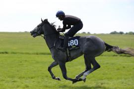 Lot  180 TIG2442Tattersalls