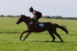 Lot  190 TIG1222Tattersalls