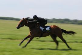 Lot  191 TIG1500Tattersalls