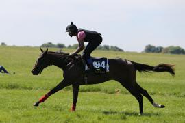 Lot  194 TIG1649Tattersalls