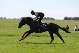 Lot  227 TIG2391Tattersalls