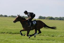 Lot  33 TIG1212Tattersalls