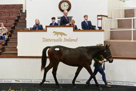 Tattersalls NNH 24 - Poets Word Lot 36