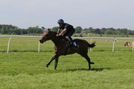 Lot  44 TIG1545Tattersalls