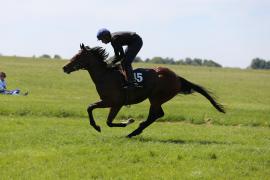 Lot  45 TIG1891Tattersalls