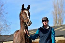 Tattersalls NNH 24 - Lot  491 Jukebox Jury