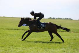 Lot  53 TIG1906Tattersalls