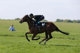 Lot  61 TIG1018Tattersalls