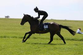 Lot  68 TIG2246Tattersalls