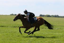 Lot  71 TIG1963Tattersalls