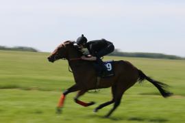 Lot  89 TIG1514Tattersalls