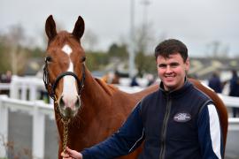 Tattersalls Sapphire Sale 24 - Lot  907A 