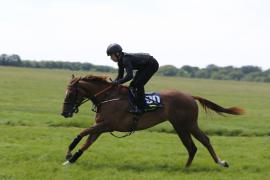 Lot  90 TIG2525Tattersalls