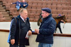 Tattersalls NNH 24 - Martin Wanless & Pat Fennessy