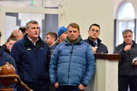 Tattersalls Sapphire Sale 24 - Roger O'Callaghan 