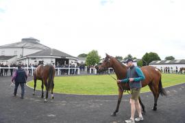 Tattersalls 30524 70