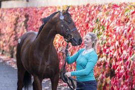 Tattersalls SYL 24 - Lot 154