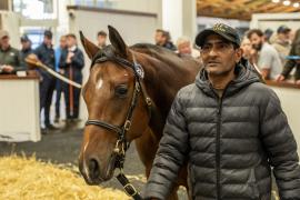 Tattersalls SYL 24 - Lot 233