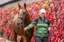 Tattersalls SYL 24 - Lot 316