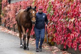 Tattersalls SYL 24 - Lot 321