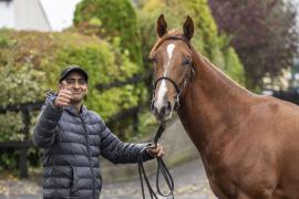 Tattersalls SY2 - Lot 708