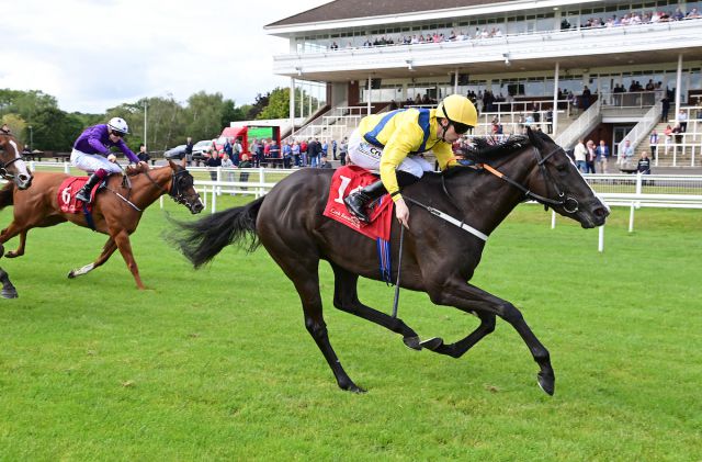 September Yearling Sale graduate Super Sox won the Listed Platinum Stakes at Cork. 