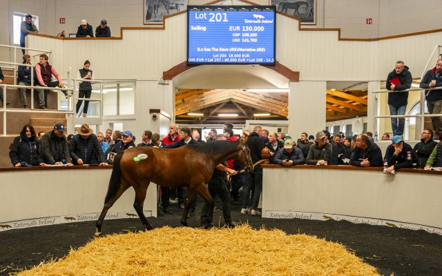 Lot 201 was the Top Lot on the first day for €130,000. 