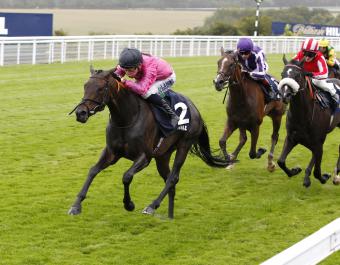 Prestige Fillies' Stakes winner Anshoda was purchased at the September Yearling Sale.