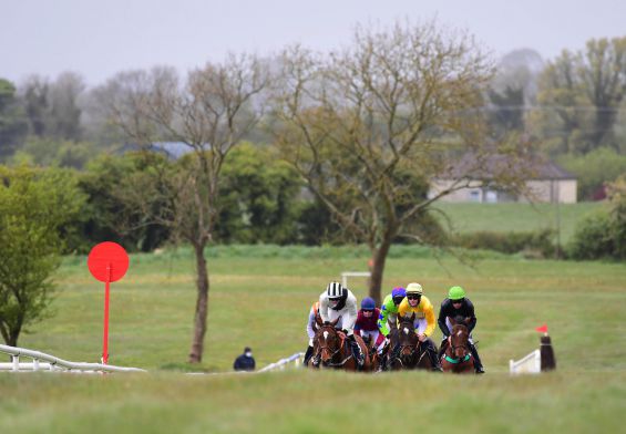 May Point-to-Point & Horses in Training Sale