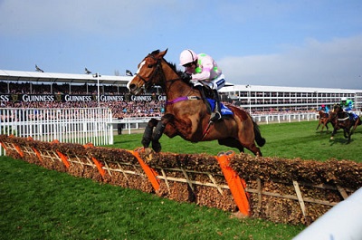 102Faugheen 17 web