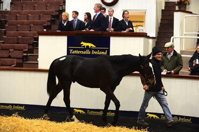 Tattersalls 91115 Lot 87 2- web